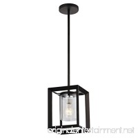 Emliviar Modern Glass Pendant Light Single Light Metal Wire Cage Hanging Pendant Light Oil Rubbed Bronze with Clear Glass Shade and 42 Black Rod 2083M1L ORB - B07BT3ZK77