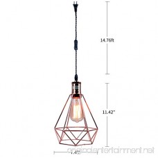 Pauwer Industrial Wire Cage Pendant Light Plug In Vintage Pendant Light with On/off switch (Rose Gold) - B078GKJSLC