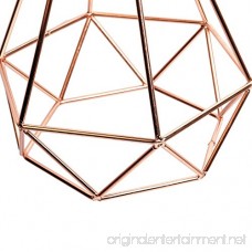 Pauwer Industrial Wire Cage Pendant Light Plug In Vintage Pendant Light with On/off switch (Rose Gold) - B078GKJSLC