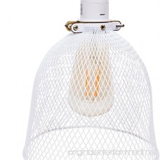 Rustic State Industrial Retro Style Mesh Wire Cage for Pendant Ceiling Lamp (White) - B0786X9FBH