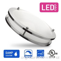 in Home 14-inch LED Flush Mount Ceiling Light DR Series  21w (100 Watt Equivalent)  Dimmable  5000K (Daylight)  1500 Lumens  Nickel Finish with Acrylic Shade  UL and Energy Star Listed - B078JKXL63