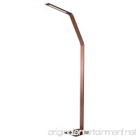 Finether LED Floor Lamp Dimmable and Color Adjustable 3000K - 6000K  8W Touch Standing Light for Reading Living Room Bedroom Office Bronze - B01N53TG8Y