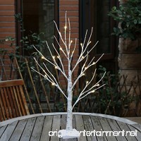 EAMBRITE 2FT 24LT Warm White LED Battery Operated Birch Tree Light Tabletop Tree Light Jewelry Holder Decor for Home Party Wedding - B06Y67XLK7