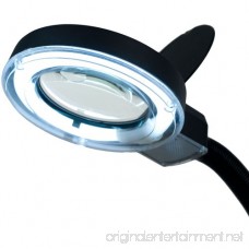 Eurotool Reading Lamp Illumination Magnifier Glass with 5x and 10x Zoom - B005FLMXTK