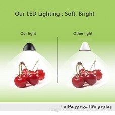 Lelife 5W Engery-Efficient LED Clamp Lamp Light Pure White Color Light 2 Brightness Level(Premium Clip On Lamp) - B011WWHCXW