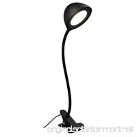 Lelife 5W Engery-Efficient LED Clamp Lamp Light Pure White Color Light 2 Brightness Level(Premium Clip On Lamp) - B011WWHCXW