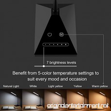 RAOYI LED Desk Lamp Eye-Caring Table Lamps Dimmable Office Lamp with USB Charging Port Touch Control Sensitive 5 Color Modes Black 12W - B075FHNVDN