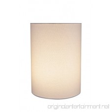 Aspen Creative 31261 8 Wide (8 x 8 x 11) Transitional Drum Cylinder Shaped Spider Construction Lamp Shade White - B076312VLF