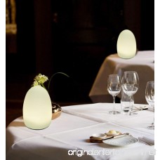 HERO-LED TB-EG-01 Restaurant Table Lighting Wireless Induction Rechargeable LED Cordless Table Lamps with Remote Timer Controller Set of 2 Egg 01 - B075186HDQ