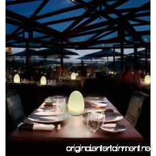 HERO-LED TB-EG-01 Restaurant Table Lighting Wireless Induction Rechargeable LED Cordless Table Lamps with Remote Timer Controller Set of 2 Egg 01 - B075186HDQ