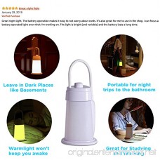 Kids Reading Light Study Desk Lamp for Students - USB Charging Portable and Rechargeable 3-12 Hour Battery Camping Tent Lantern Lights Bedroom Bedside Nightstand Lamps - Baby Toddler Night Light - B075N7N1ZG