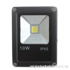 OLSUS Waterproof CMJ-TGD-001 10W 950lm 6500K 1 x COB LED White Light Floodlight(85-265V) - B077NY72TN