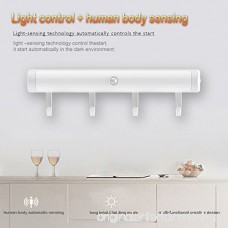 TOOGOO PIR Motion Sensor Closet Light With Heavy Duty Hook - Magnetic Suction Lamp For Human Body Sensor Light/Cabinet Lights/Night Lights and More (White USB) - B079QJ4VF5