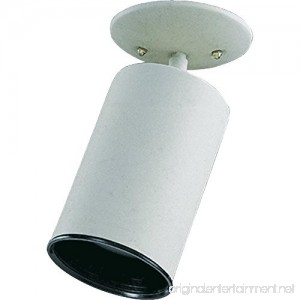 Spot Light Bulb Type: (1) 75W medium base bulb Finish: White - B002BLYVPQ