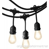 Basics Weatherproof Outdoor Patio String Lights S14 Bulb  Black  48-Foot - B073WGDR21
