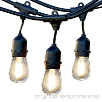 Brightech Ambience Pro LED  Waterproof Outdoor String Lights- Heavy Duty  Weatherproof Hanging Patio Lights  1W Edison Bulbs- Commercial Grade Cafe/Bistro/Market Lighting for Decking- Gen 2 - B075DV2L3L