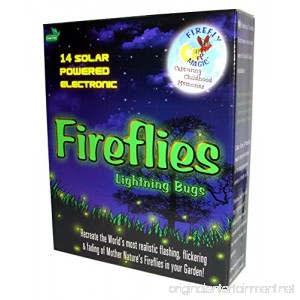 Firefly Magic Solar AND Battery-Operated Firefly Lights (Lightning Bug Lights) Model FMS-14S2 Firefly Green (1 Set) - B01LY008RI