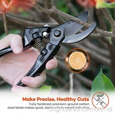 Garden Shears Professional 8'' Pruning Shears Kits Garden Clippers Tree Trimmers Bypass Hand Pruners with Carbon Steel Blades and Safety Lock for Garden and Lawn (2 Sets) - B0774BKH3W