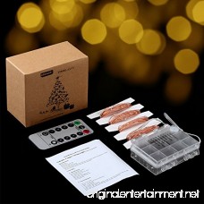 GDEALER 100 Led 33ft Fairy Lights Fairy String Lights Battery Operated Waterproof 8 Modes Remote Control String Lights Copper Wire Firefly lights Christmas Decor Christmas Lights Warm White - B01FU2IODC