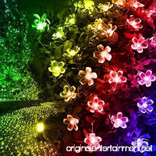 GIGALUMI 2 Pack Solar Strings Lights 23 Feet 50 LED Flower Solar Fairy Lights Garden Lights for Outdoor Home Lawn Wedding Patio Party and Holiday Decorations- Multi Color - B074T88C5D