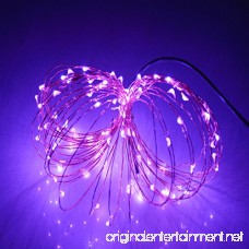 HAHOME Waterproof Led String Lights 33Ft 100 LEDs Indoor and Outdoor Starry Lights with Power Supply for Christmas Wedding and Party Decoration Purple - B00FZSQMZO