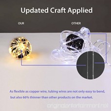 Homestarry 100ft 300LEDs Solar Powered Fairy Lights String Lights 8 Modes Remote Tangle-Free Decorative Rope Lights IP65 Waterproof Solar Lights for Outdoor Garden Patio Party Christmas(Warm White) - B077KVT9LM