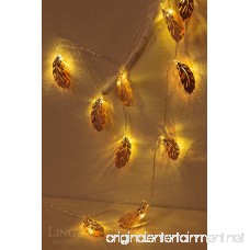ling's moment Rose Gold Feather Copper Metal 5Ft 10 LED Lantern String Lights For Rose Gold Party Bedroom Bohemian Decorations Wall Decor Bridal Showert Indoor Patio Summer Lighting - B0746DGFGM