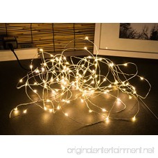 Oak Leaf LED String Lights 33 ft 100 LEDs Starry Fairy Lights for Bedroom Wedding Patio Gate Party 3V Power Adapter Warm White - B014R12U3M