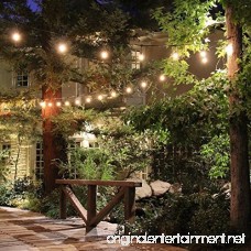 Outdoor Commercial String Lights- AMLIGHT 24 Ft Heavy Duty Weatherproof Lighting Strands- 14 Gauge Black Cable with 12 Hanging Sockets- 18 Bulbs- Perfect Patio Garden or Party - B01B7K4EX0