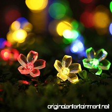 Qedertek Solar String Lights 21ft 50 LED Fairy Blossom Flower Garden Lights for Outdoor Home Lawn Wedding Patio Party and Holiday Decorations (1Pack) - B012VIRJ4I