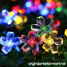 Qedertek Solar String Lights 22ft 50 LED Waterproof Cherry Blossom Solar Flower String Lights for Indoor/Outdoor Patio Garden Xmas Holiday Festivals Decorations (Multi-color) - B0135OVTYS