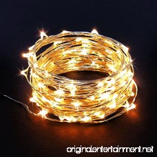 RTGS 100 Warm White Color LED String Lights Plug In on 32 Feet Silver Color Wire for Indoor and Outdoor Use - B0097YM4JU