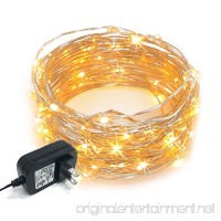 RTGS 100 Warm White Color LED String Lights Plug In on 32 Feet Silver Color Wire for Indoor and Outdoor Use - B0097YM4JU