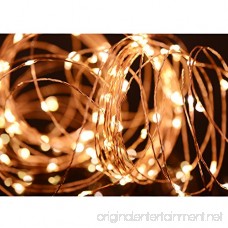 Toplus LED String Lights Waterproof Fairy String Lights 100 Leds 33ft Starry String Lights USB Powered Copper Wire Lights for Bedroom Patio Party Wedding Christmas Decorative Lights (Warm White) - B01MCV4WQK