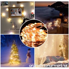 Toplus LED String Lights Waterproof Fairy String Lights 100 Leds 33ft Starry String Lights USB Powered Copper Wire Lights for Bedroom Patio Party Wedding Christmas Decorative Lights (Warm White) - B01MCV4WQK