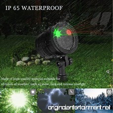 Christmas Laser Lights Waterproof Star Shower Projector Lights with RF Wireless for Christmas Party Landscape and Garden Decorations - B073W5VCSR