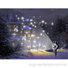 Snowfall Outdoor Led Christmas Lights Displays Projector Show Waterproof Rotating Projection Snowflake Lamp - B07DM8PF5B