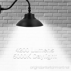 14.2in. Black LED Gooseneck Barn Light 42W 4000lm Daylight LED Fixture for Indoor/Outdoor Use - Photocell Included - Swivel Head Energy Star Rated - ETL Listed - Sign Lighting - 5000K Daylight 1pk - B078BCTTS4