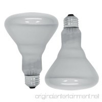 GE Lighting 18011 65-Watt Soft White Reflector Flood BR30 Light Bulb  2-Pack - B000HJ73PO