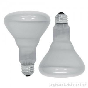 GE Lighting 18011 65-Watt Soft White Reflector Flood BR30 Light Bulb 2-Pack - B000HJ73PO