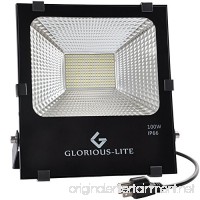 GLORIOUS-LITE LED Flood Light  100W(500W Halogen Equiv)  IP66 Waterproof Outdoor Work Lights  6500K Daylight White  8000lm  110V - B071HGY6KF