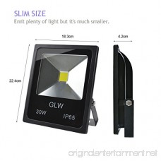 GLW LED 30W Flood Lights IP65 Waterproof 2700lm 6000K 150W Halogen Bulb Equivalent Outdoor Super Bright Daylight White 110V with 3-plug Landscape Light - B06XC9Y5NK