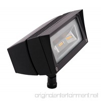 RAB Lighting FFLED18 Future Flood 18W Cool LED 120V to 277V Lamp  Bronze  Hardwired - B00I0VR6LM