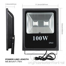 RGB LED Flood Lights T-SUNRISE 100W Super Bright Outdoor Security Wall Light Remote Control RGB Color Changing IP65 Waterproof with US Plug for Garden Yard Warehouse Sidewalk - B01N1S6D8K