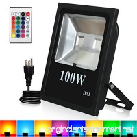 RGB LED Flood Lights  T-SUNRISE 100W Super Bright Outdoor Security Wall Light  Remote Control  RGB Color Changing IP65 Waterproof with US Plug for Garden  Yard  Warehouse Sidewalk - B01N1S6D8K
