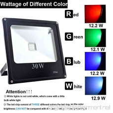ZHMA 30W RGB LED Flood Light Color Changing Waterproof LED Security Light With US 3-Plug & Remote Control for Tree lake Garden Scenic spots decorations lights - B01J7PIZQO