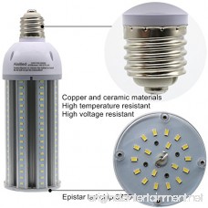 54W Led Corn Light Bulb for Indoor Outdoor 6700lumen E39 Base Equivalent to 250-300W HID Metal Halide/HPS Used in Street Backyard Acorn Post Top Garage (54W) - B0757CXHT4
