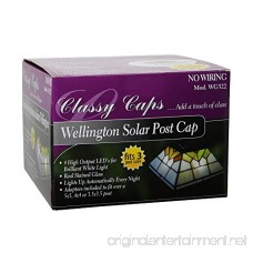 Classy Caps WG322 Stained Glass Wellington Solar Post Cap 5 x 5 - B00CFV31EE