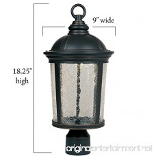 Designers Fountain LED21346-ABP Winston Post Lanterns Aged Bronze Patina - B00EHFGPUI
