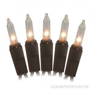 50 Clear Brown Cord Wire Light Set - B003373414